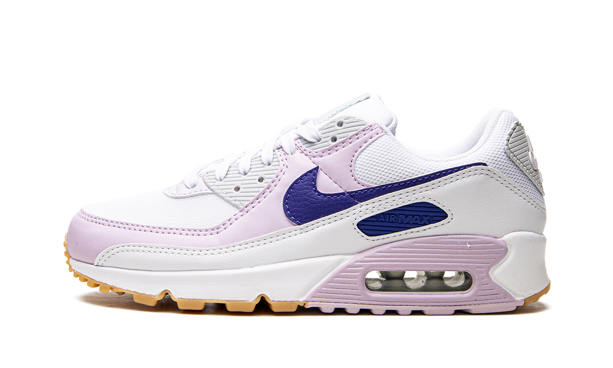 AIR MAX 90 WMNS DX3316 100