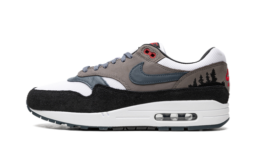 Air Max 1 "Slate Blue" FJ0698 100