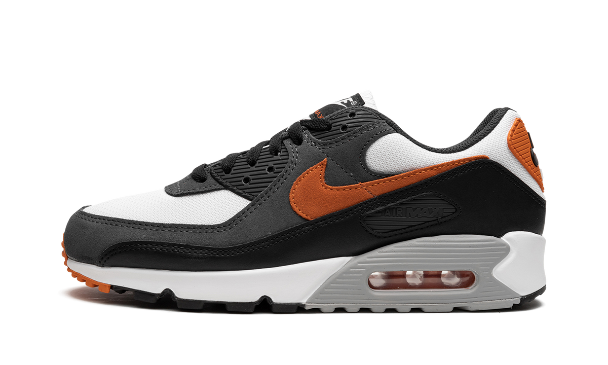 Air Max 90 "Starfish" DM0029 101